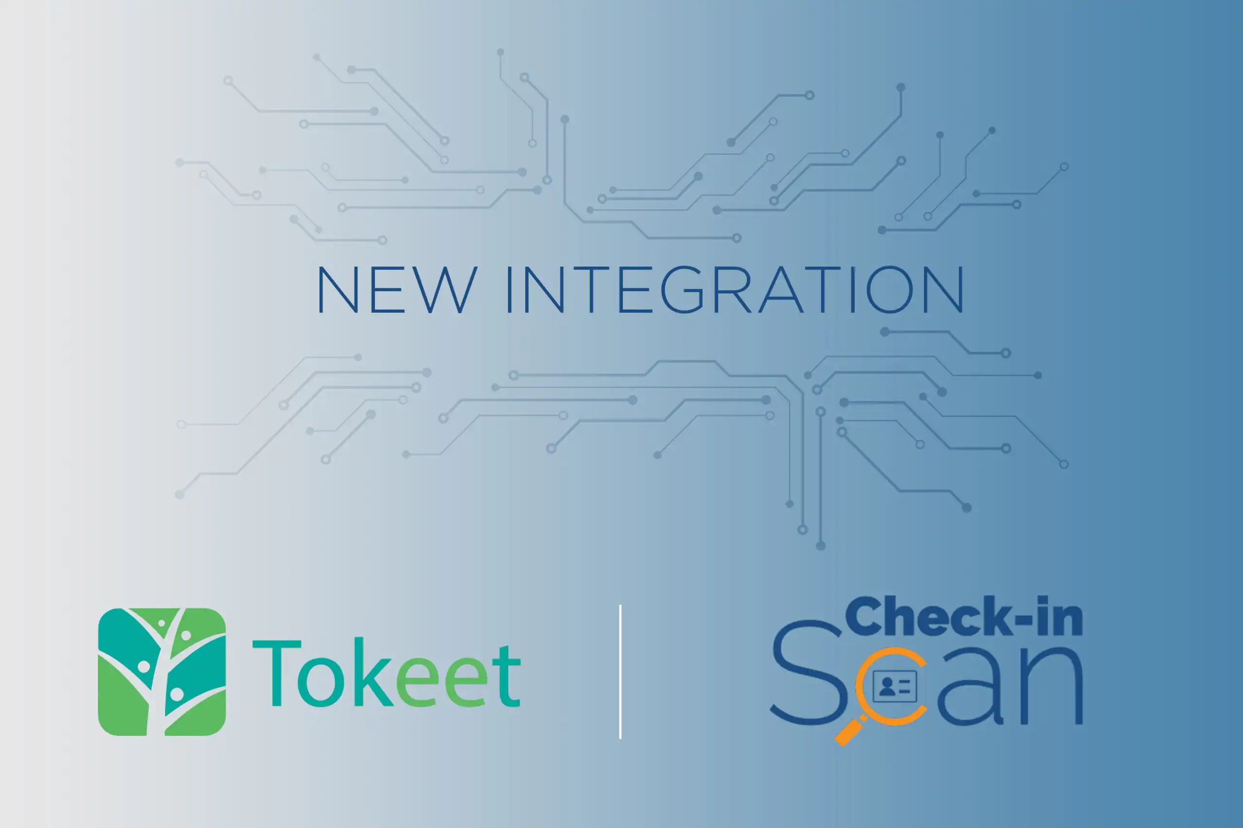 banners blog token scaled