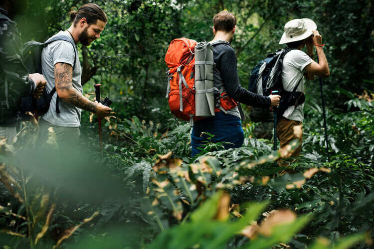 Ecoturismo
